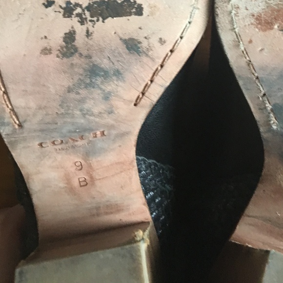 Coach side zip booties - Picture 6 of 8